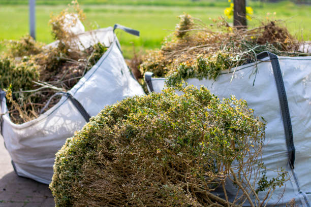 Best Residential Junk Removal  in Pike Creek Valley, DE